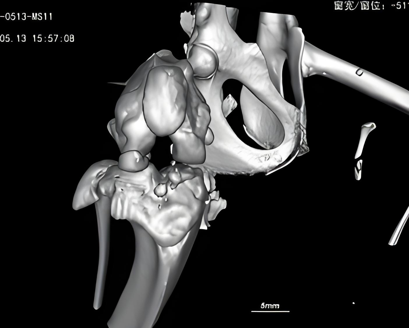广纳康赛医疗器械部：聚焦临床前评价的一体化技术平台