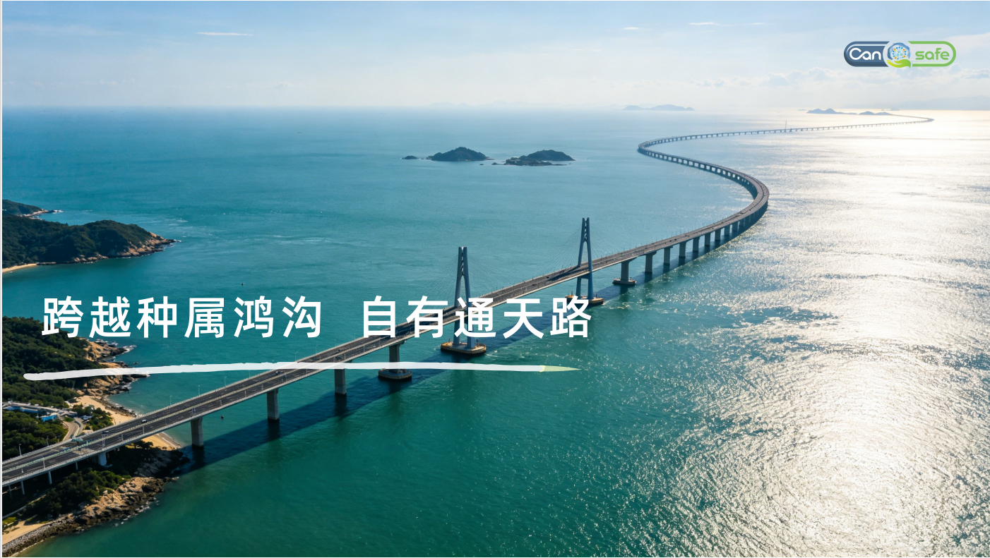 多特异性抗体非临床评价：当“无合适动物种属”时，如何构建人相关安全性证据链？